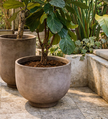 Modern Stone Planter Bowl