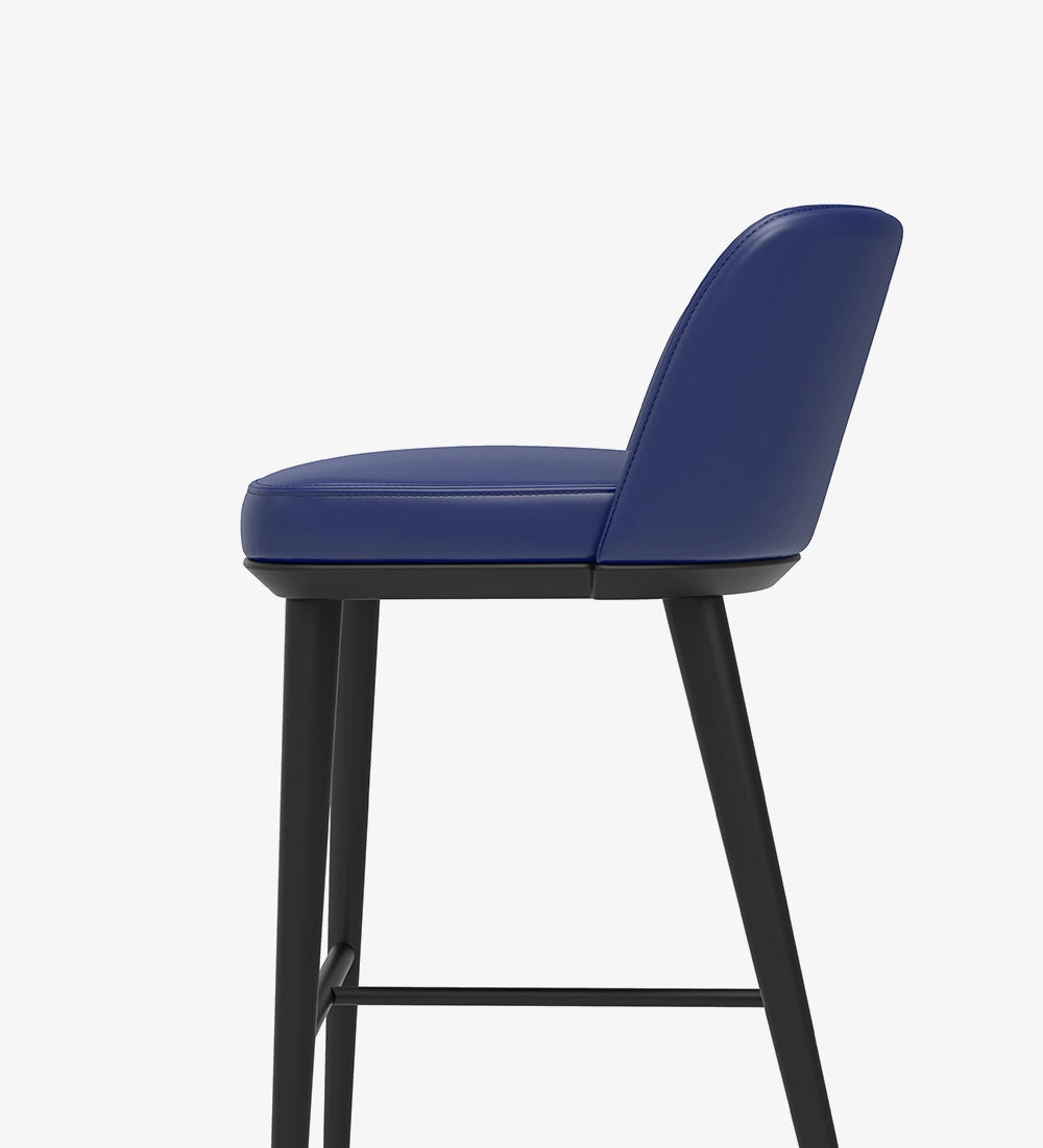 Luxury & Modern Bar Stool Chair