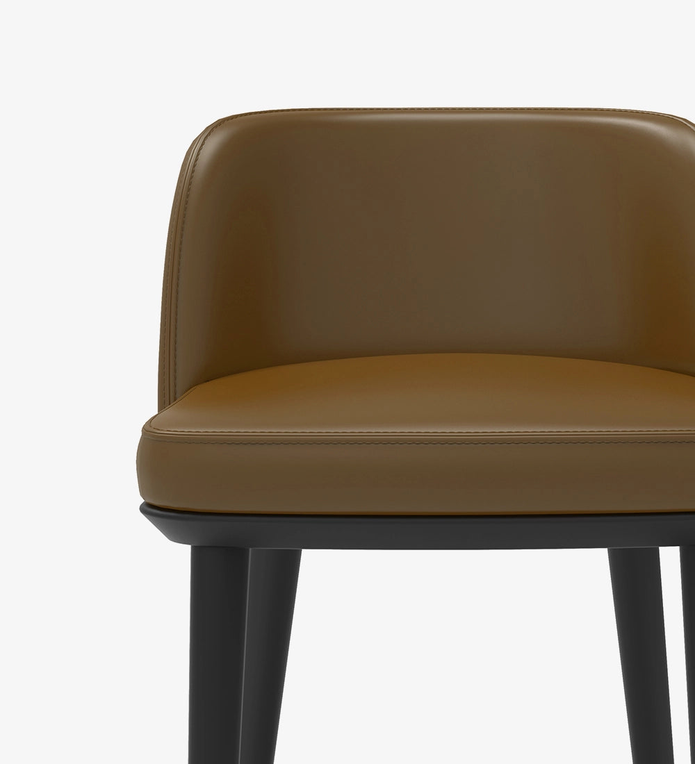 Luxury & Modern Bar Stool Chair