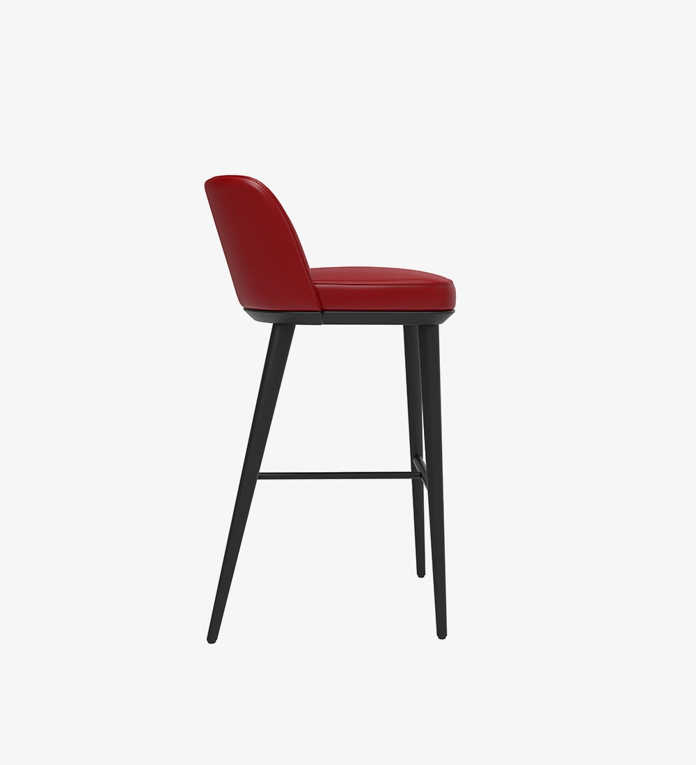 Luxury & Modern Bar Stool Chair
