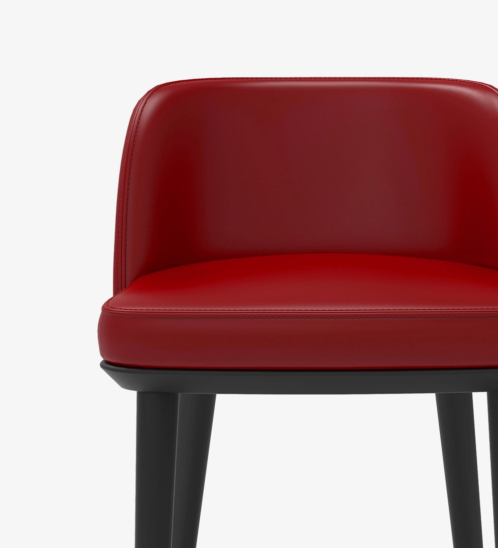 Luxury & Modern Bar Stool Chair