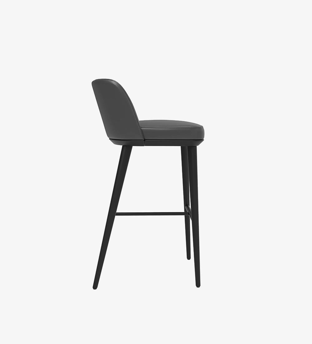Luxury & Modern Bar Stool Chair