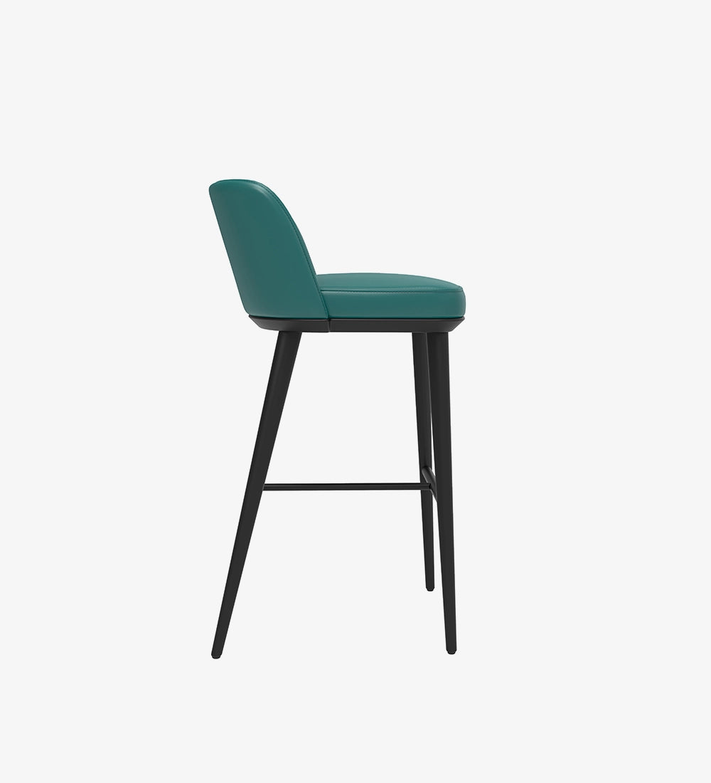 Luxury & Modern Bar Stool Chair