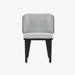 Modern Accent Dining Chair