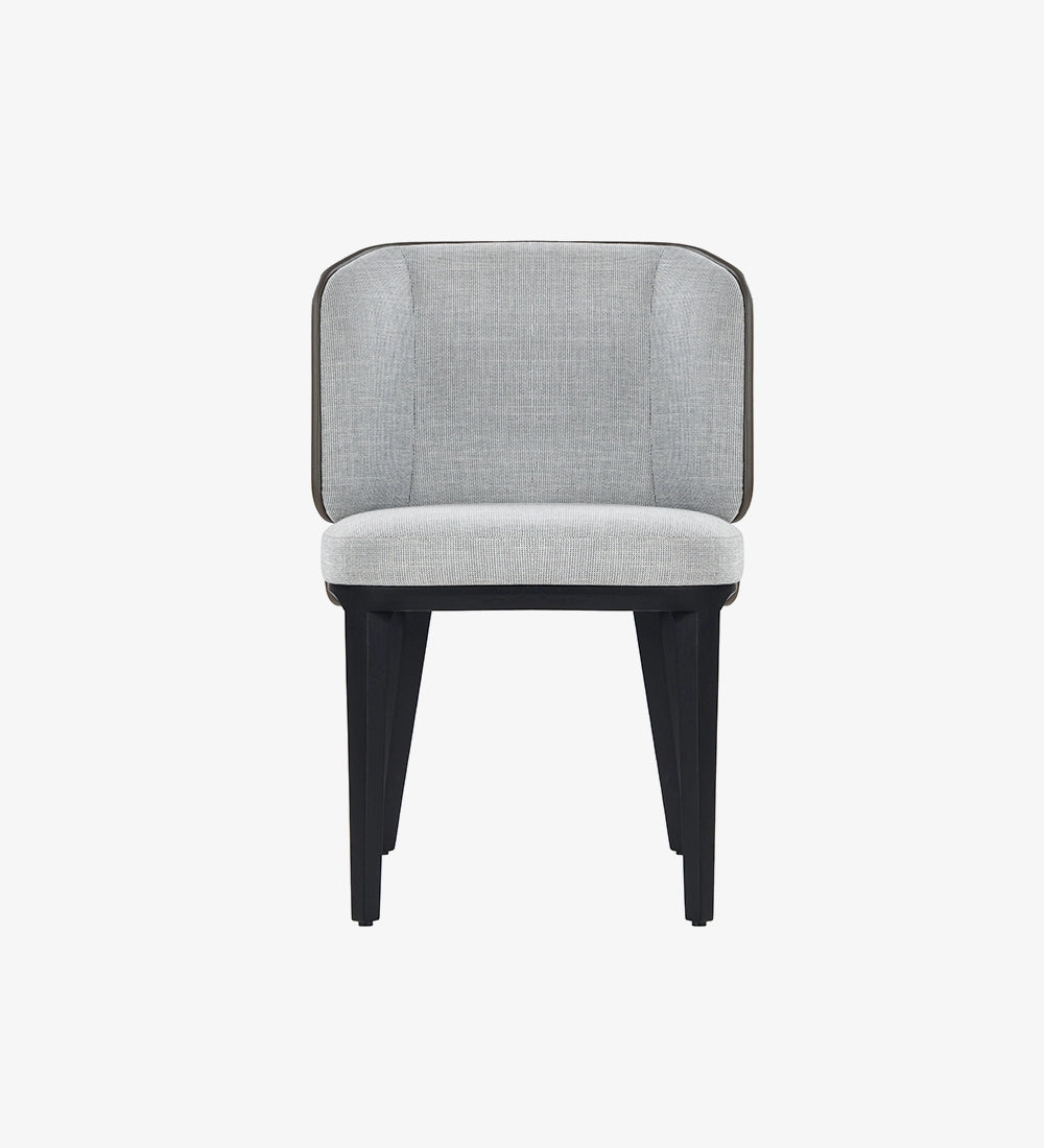 Modern Accent Dining Chair
