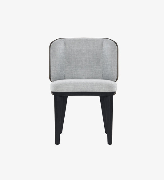 Modern Accent Dining Chair