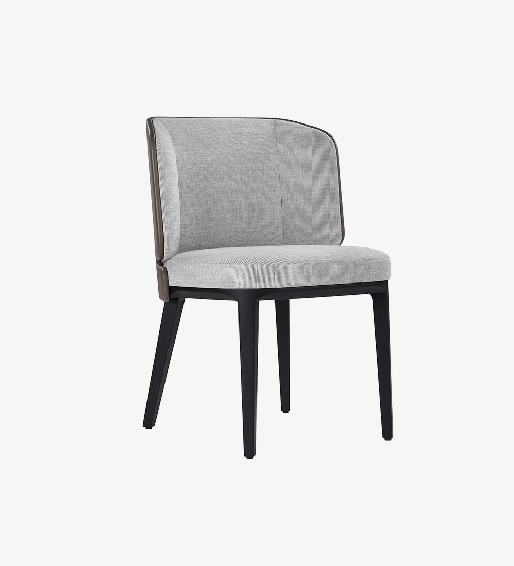 Modern Accent Dining Chair