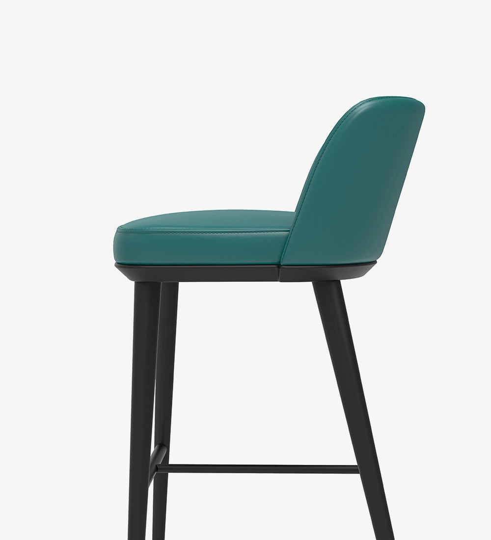 Luxury & Modern Bar Stool Chair