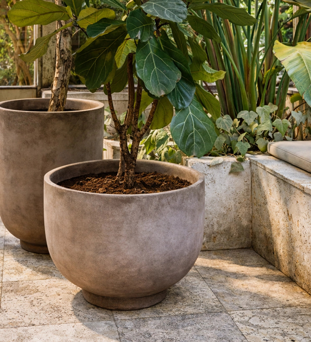 Modern Stone Planter Bowl