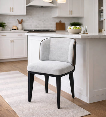 Modern Accent Dining Chair