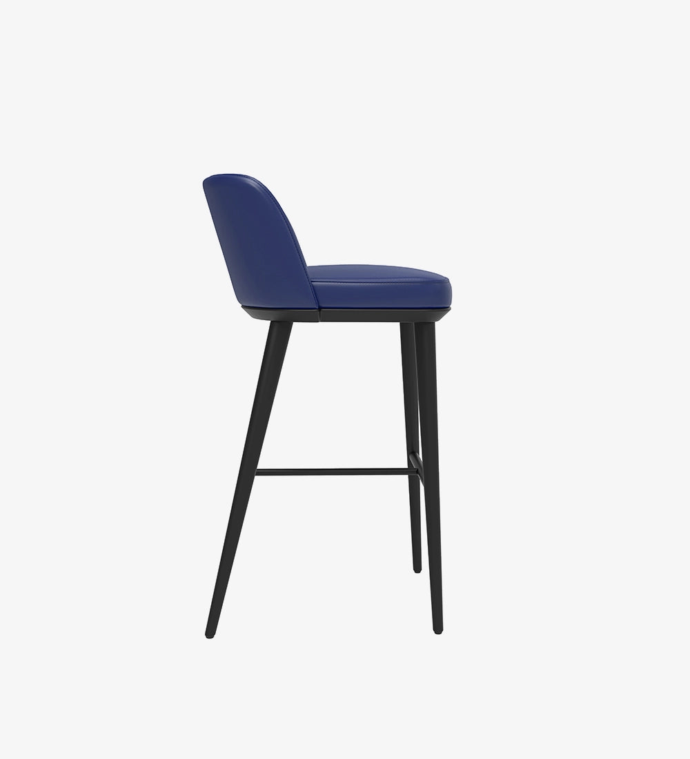 Luxury & Modern Bar Stool Chair