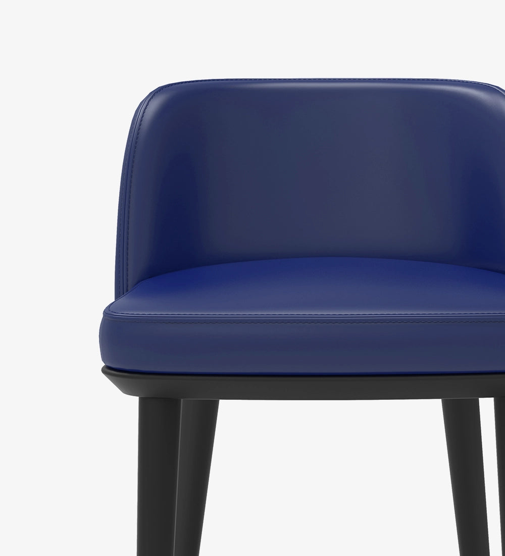Luxury & Modern Bar Stool Chair